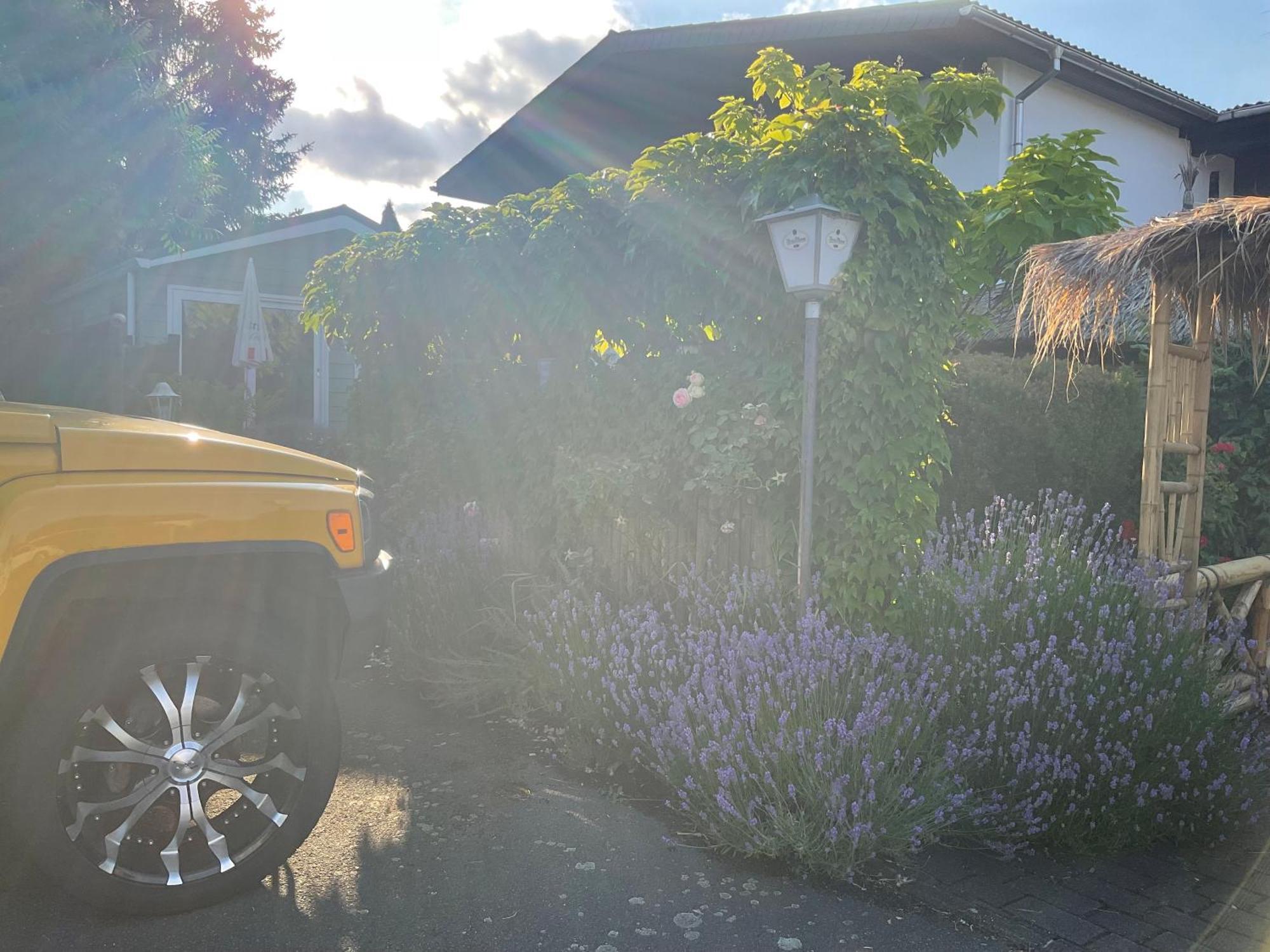 Zu Jeddelohs Lodge Hotel Gladenbach 部屋 写真