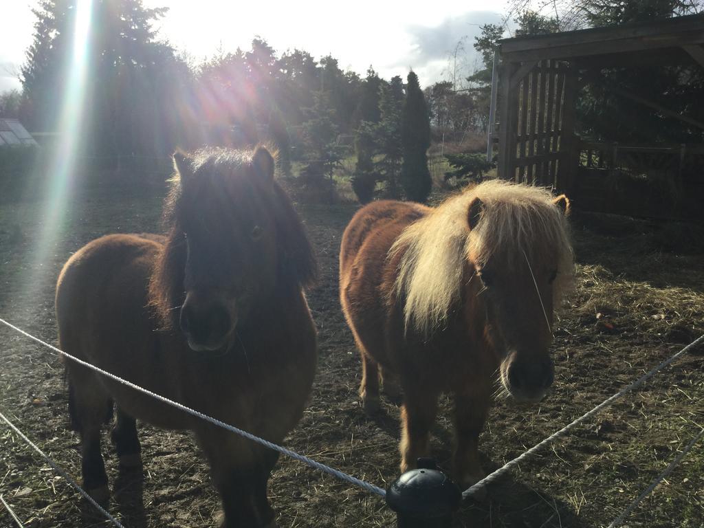 Zu Jeddelohs Lodge Hotel Gladenbach エクステリア 写真